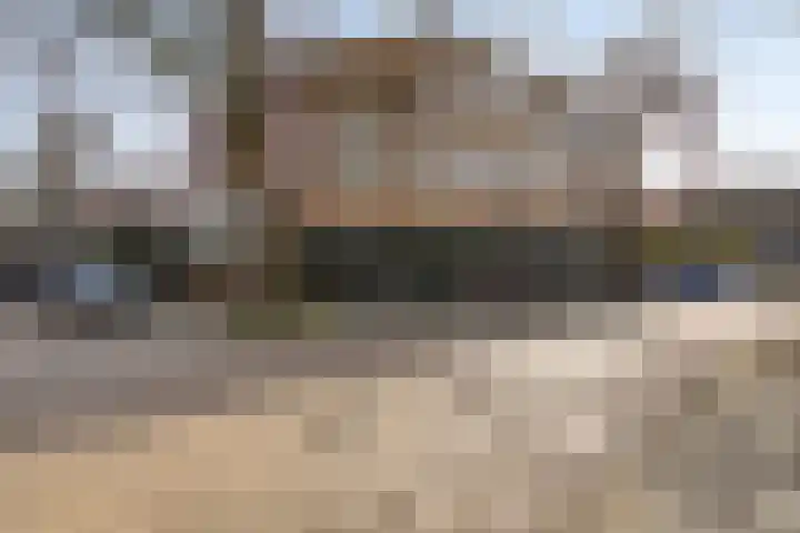 Hoornbruglaan 86 Rijswijk thumbnail 44