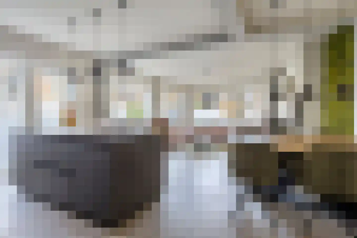 Hoornbruglaan 86 Rijswijk thumbnail 52