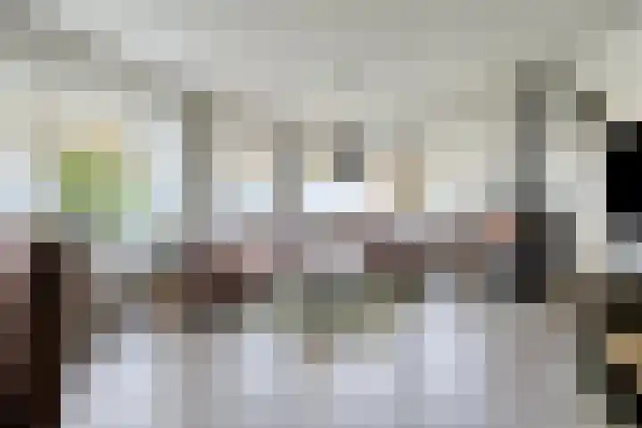 Hoornbruglaan 86 Rijswijk thumbnail 6