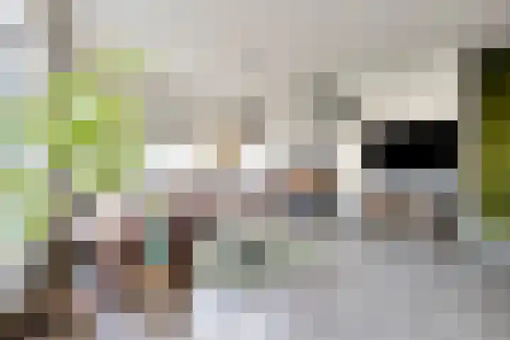 Hoornbruglaan 86 Rijswijk thumbnail 8