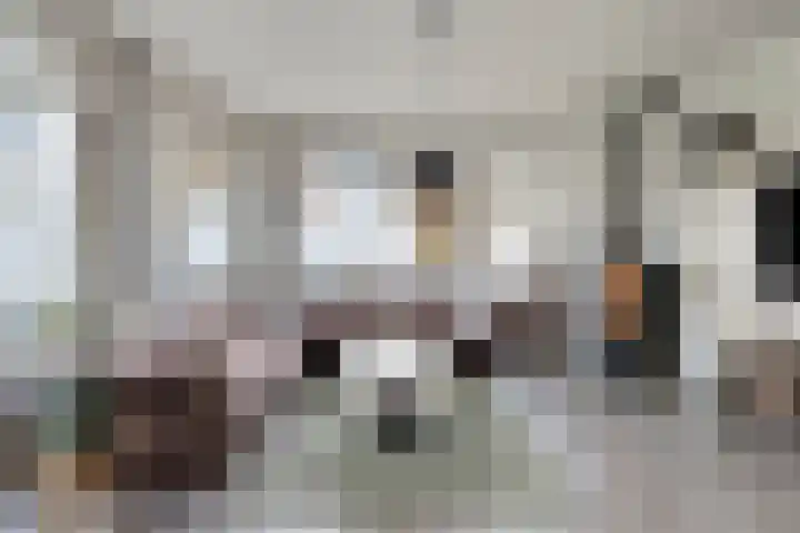 Hoornbruglaan 86 Rijswijk thumbnail 9
