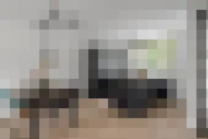 Hoorncamp 18 Houten thumbnail 10