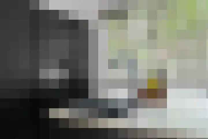Hoorncamp 18 Houten thumbnail 12