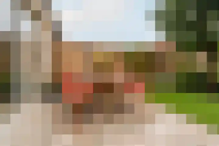 Hoorncamp 18 Houten thumbnail 14
