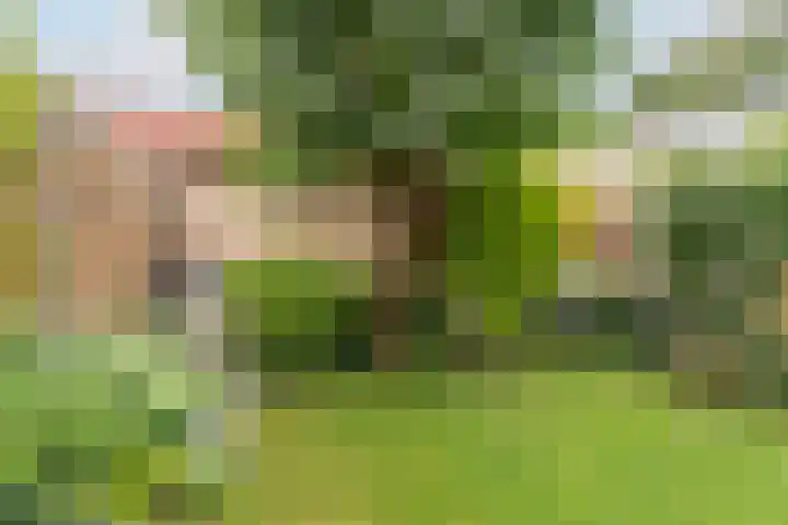Hoorncamp 18 Houten thumbnail 16