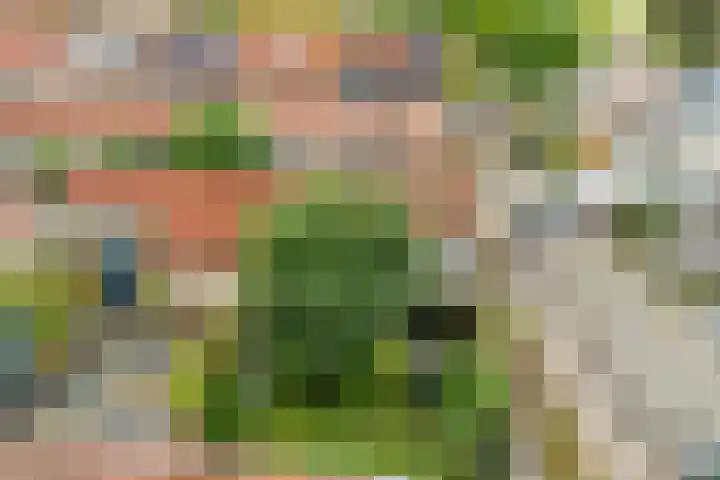 Hoorncamp 18 Houten thumbnail 21