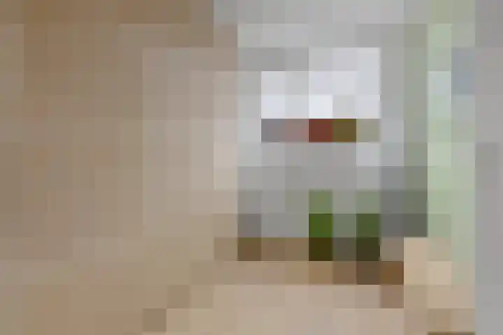 Hoorncamp 18 Houten thumbnail 23