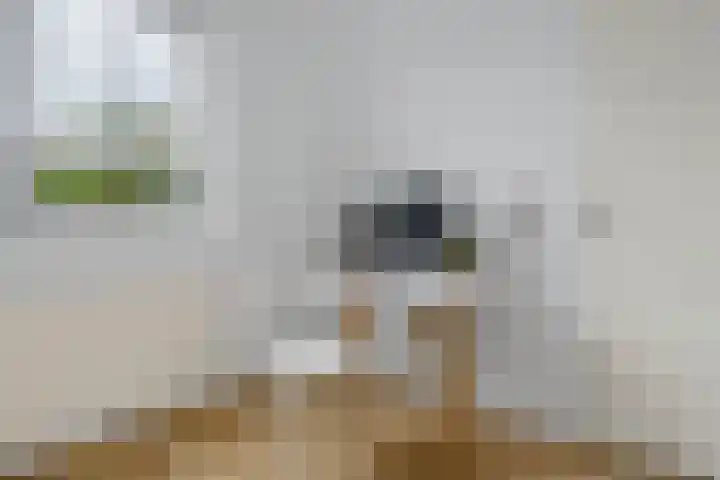 Hoorncamp 18 Houten thumbnail 25