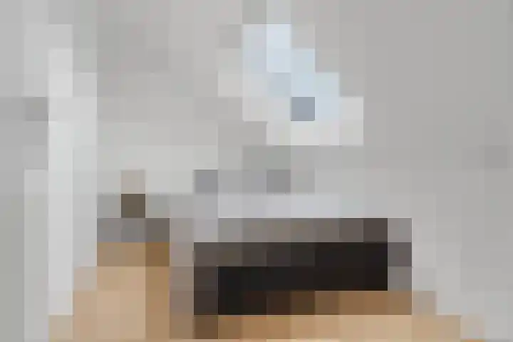 Hoorncamp 18 Houten thumbnail 29
