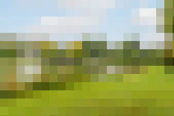 Hoorncamp 18 Houten thumbnail 35