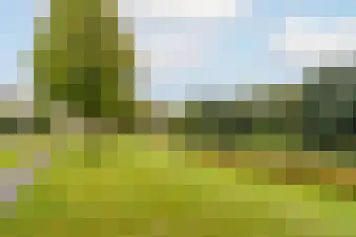 Hoorncamp 18 Houten thumbnail 36
