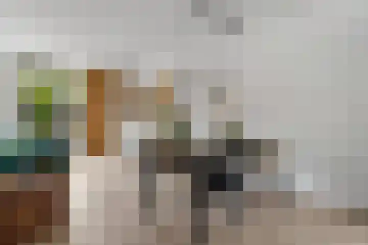 Hoorncamp 18 Houten thumbnail 9