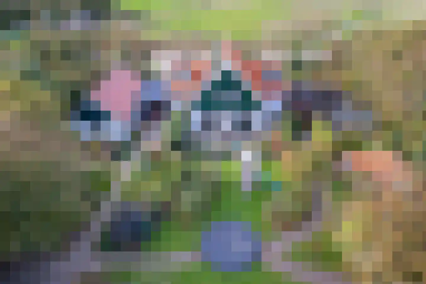 Hoornderweg 17 Den Burg thumbnail 10