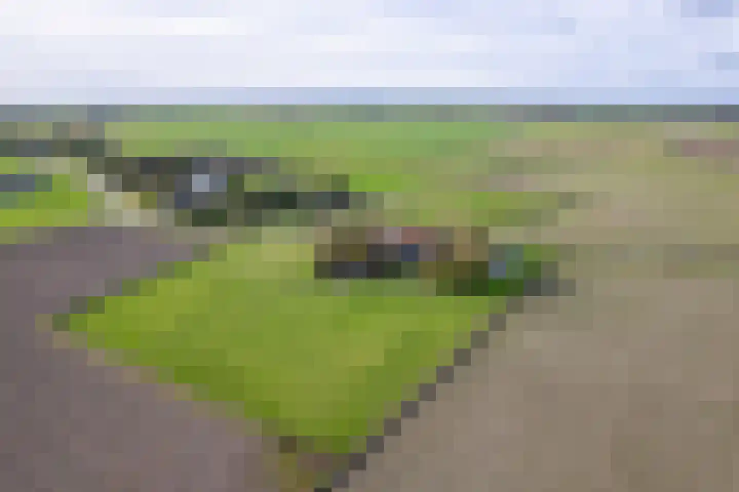 Hoornderweg 17 Den Burg thumbnail 11