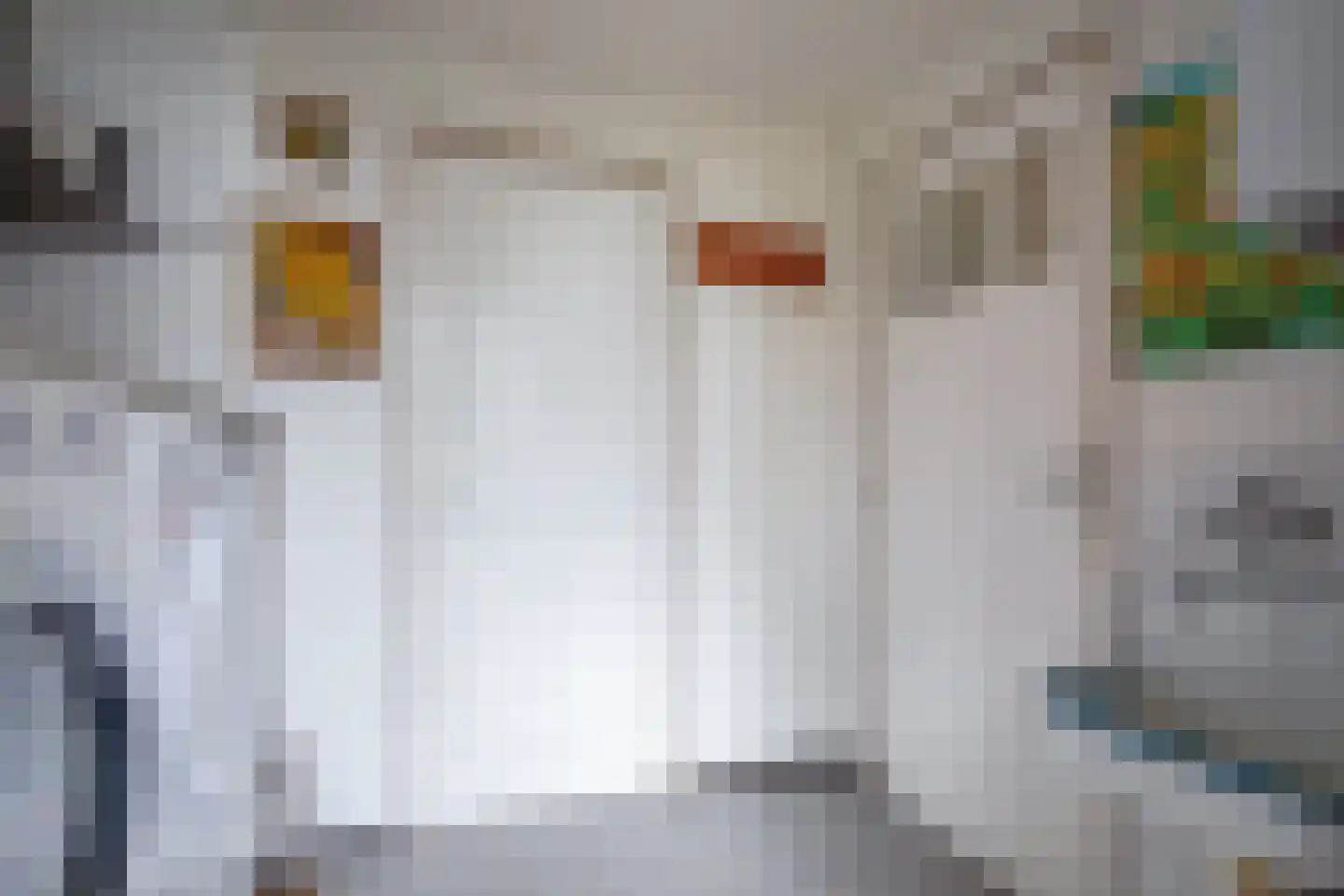 Hoornderweg 17 Den Burg thumbnail 24