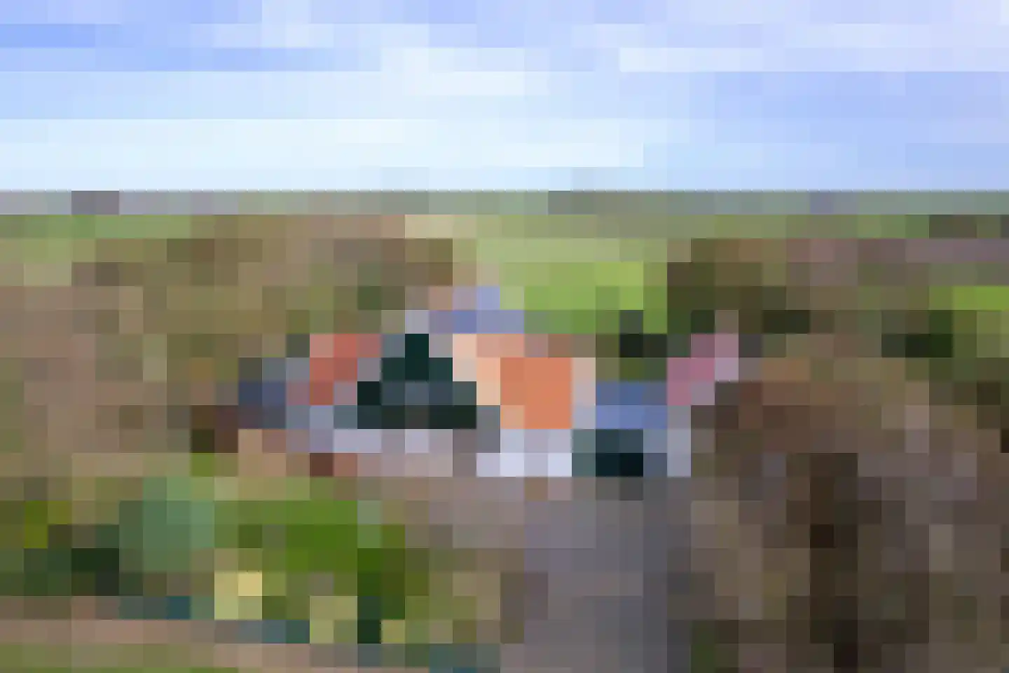 Hoornderweg 17 Den Burg thumbnail 4