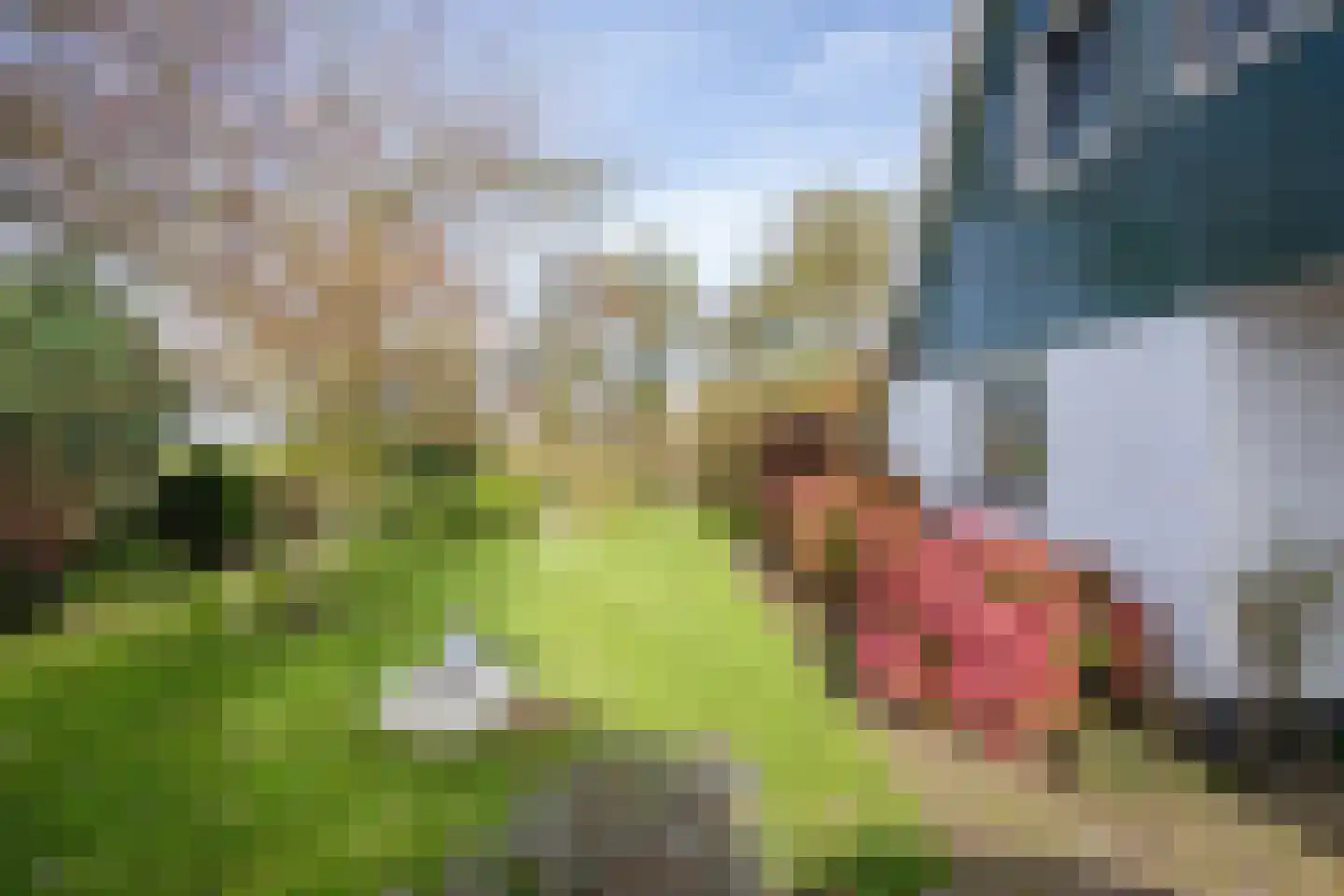 Hoornderweg 17 Den Burg thumbnail 48