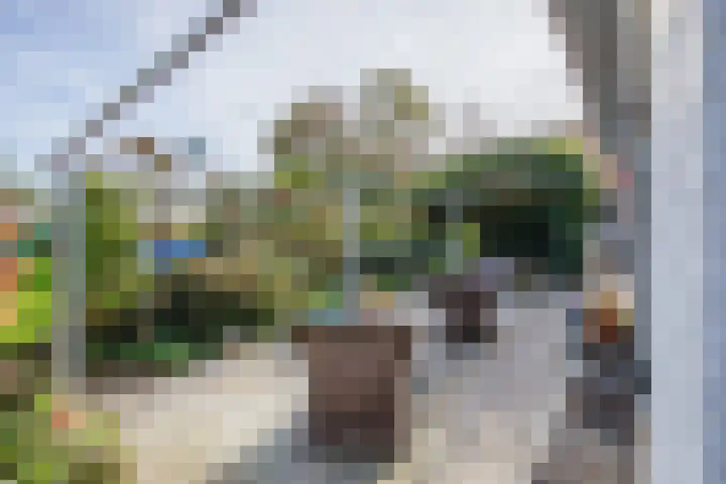 Hoornderweg 17 Den Burg thumbnail 50
