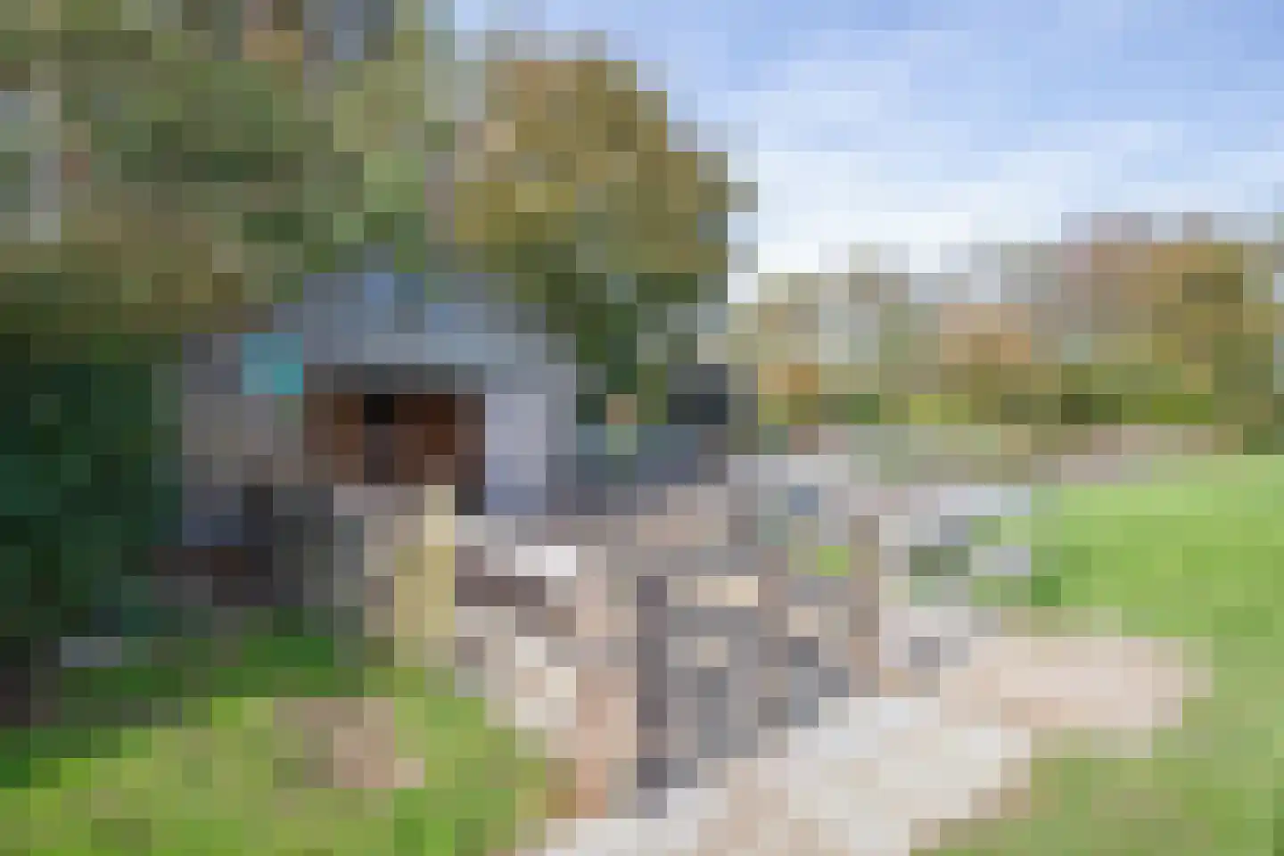Hoornderweg 17 Den Burg thumbnail 55