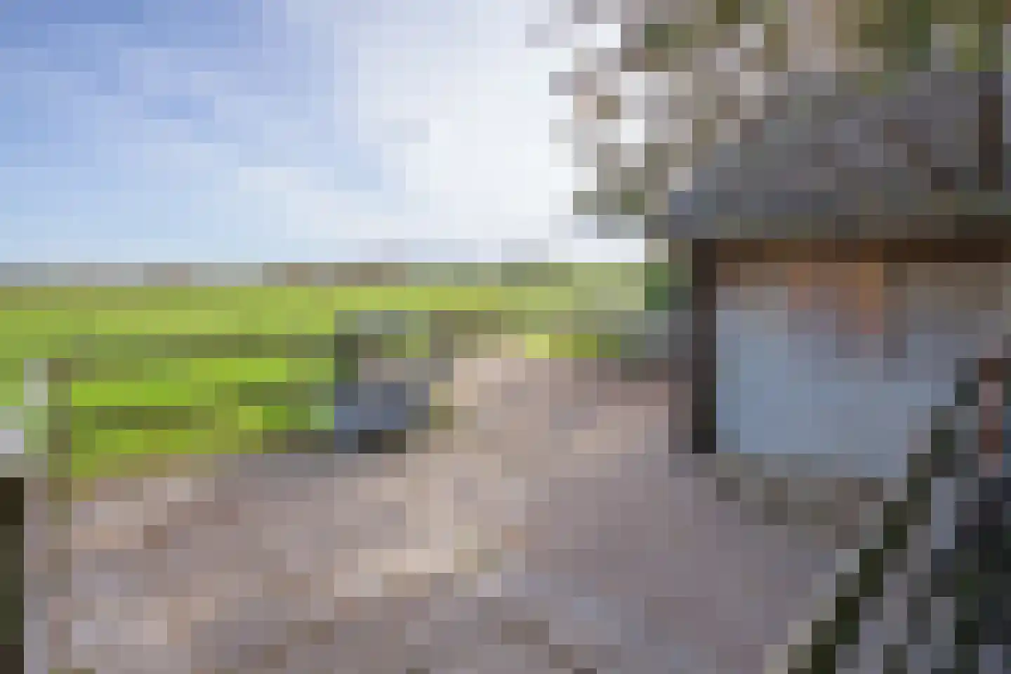 Hoornderweg 17 Den Burg thumbnail 56