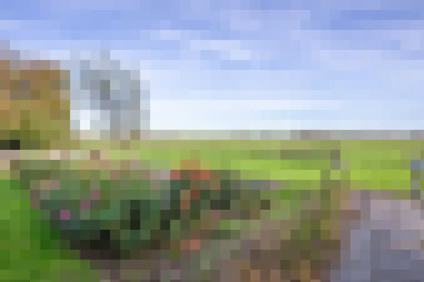Hoornderweg 17 Den Burg thumbnail 57