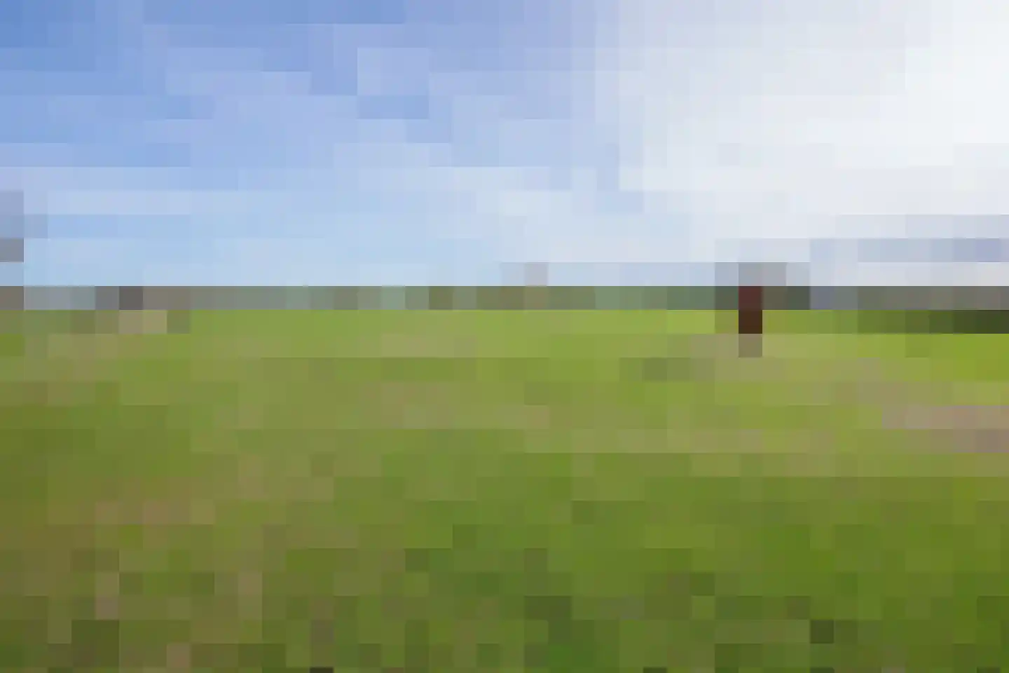 Hoornderweg 17 Den Burg thumbnail 58