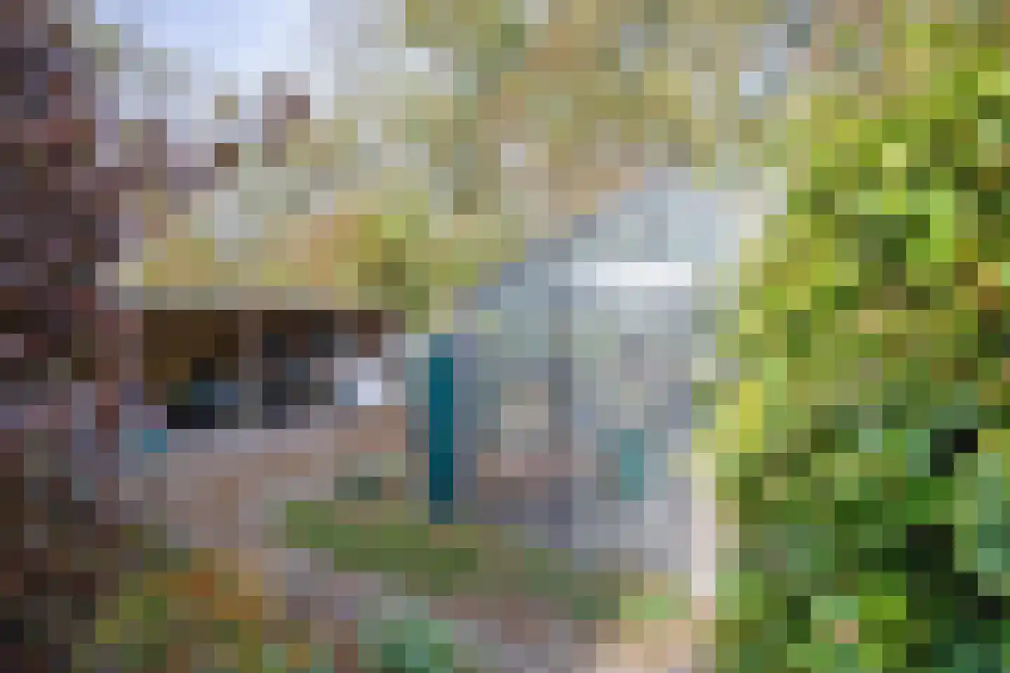 Hoornderweg 17 Den Burg thumbnail 59