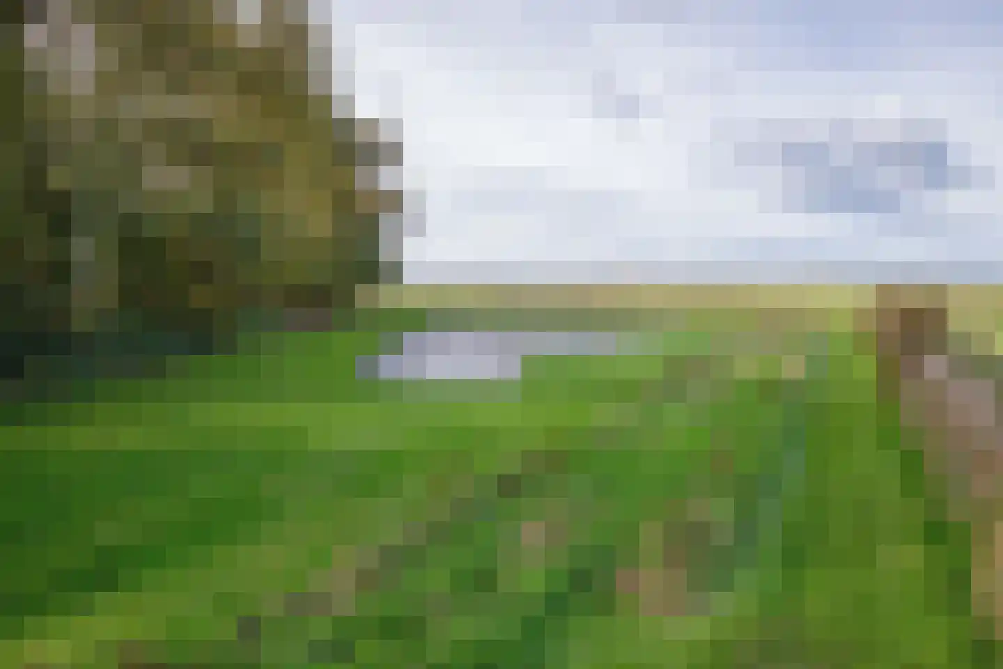 Hoornderweg 17 Den Burg thumbnail 60