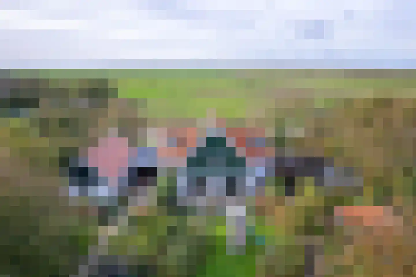 Hoornderweg 17 Den Burg thumbnail 62