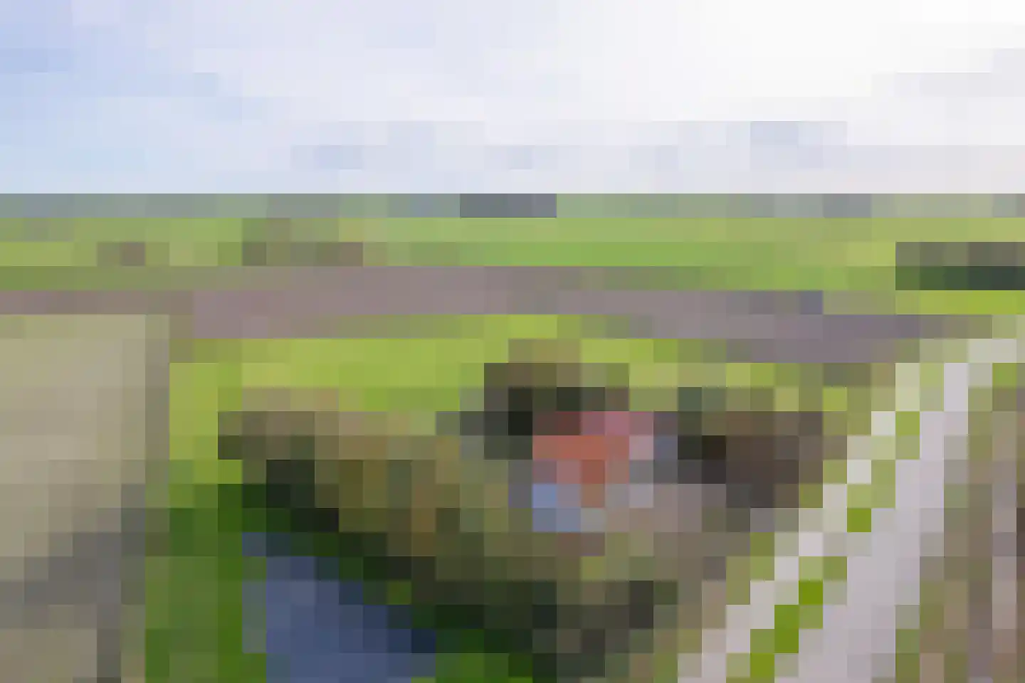 Hoornderweg 17 Den Burg thumbnail 64