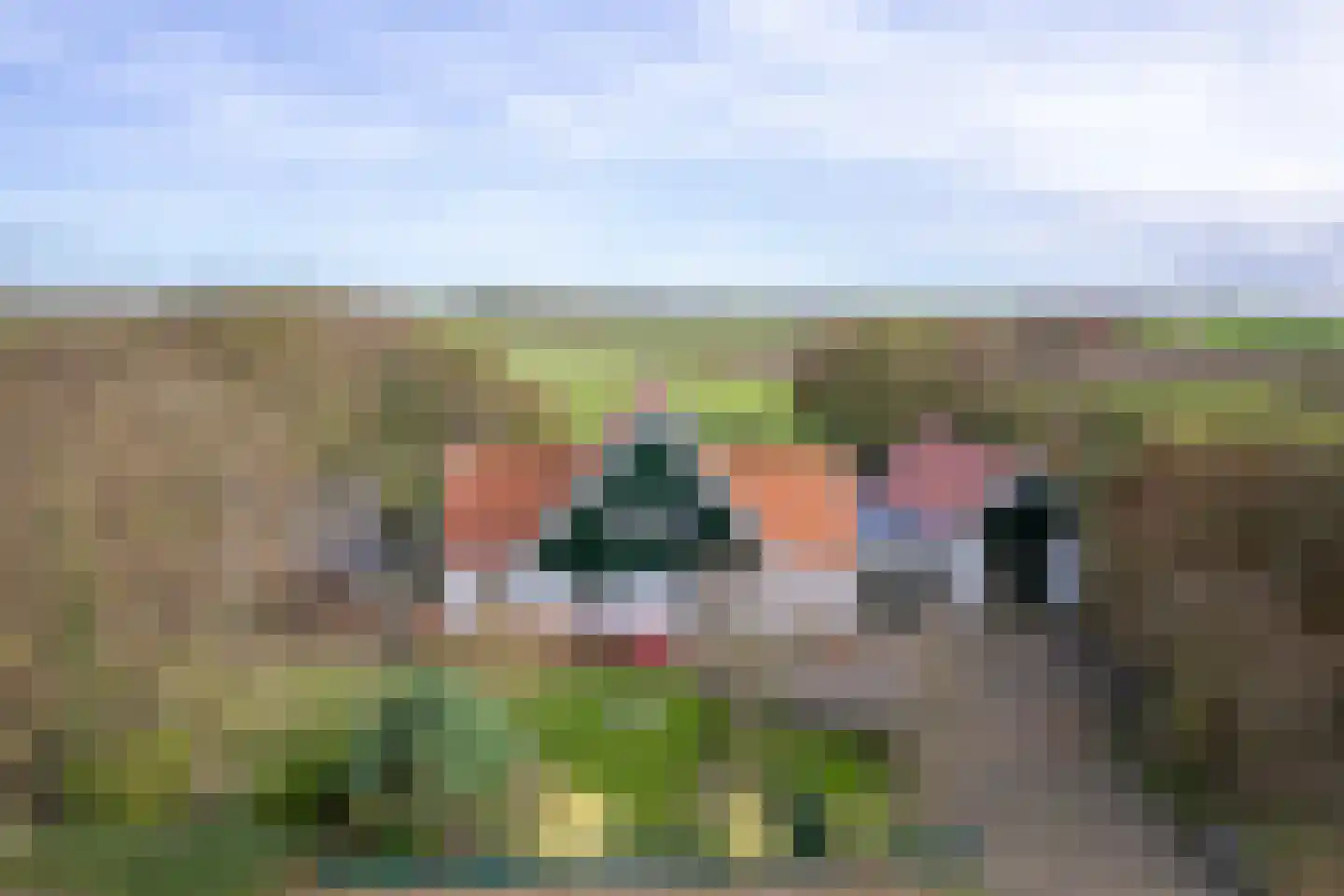 Hoornderweg 17 Den Burg thumbnail 65