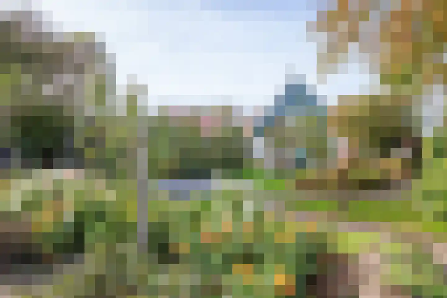 Hoornderweg 17 Den Burg thumbnail 8