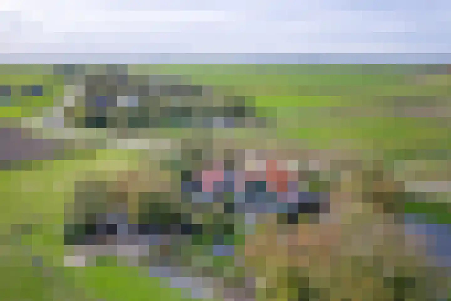 Hoornderweg 17 Den Burg thumbnail 9