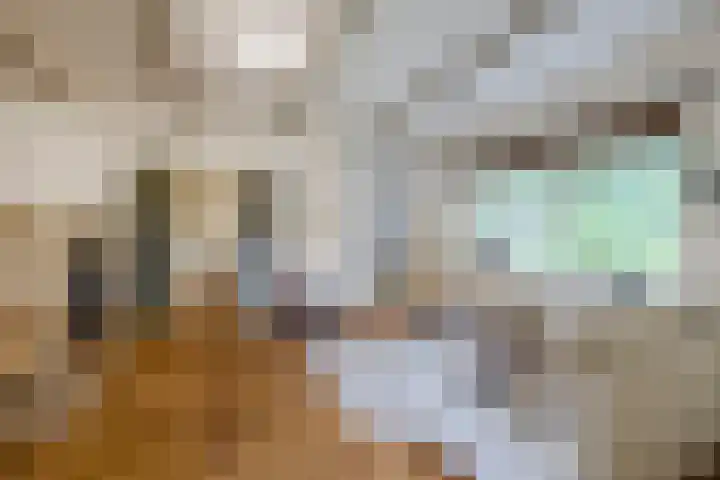 Hoornderweg 2 Wedde thumbnail 10