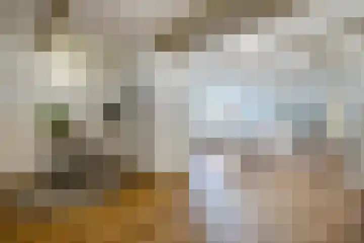 Hoornderweg 2 Wedde thumbnail 11