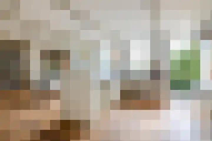 Hoornderweg 2 Wedde thumbnail 17