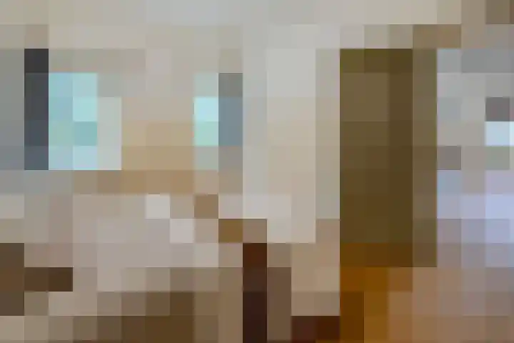 Hoornderweg 2 Wedde thumbnail 20