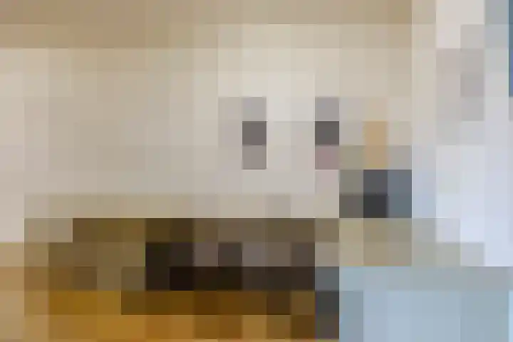 Hoornderweg 2 Wedde thumbnail 24