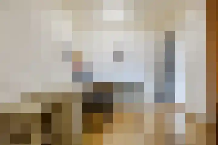 Hoornderweg 2 Wedde thumbnail 25