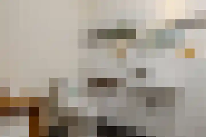 Hoornderweg 2 Wedde thumbnail 27