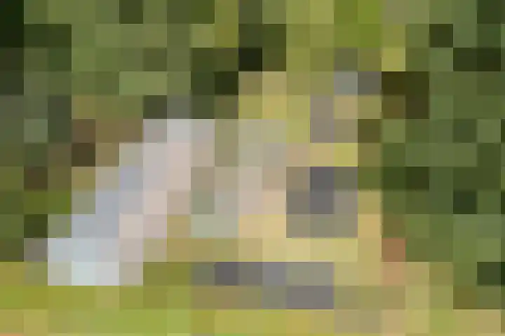 Hoornderweg 2 Wedde thumbnail 28