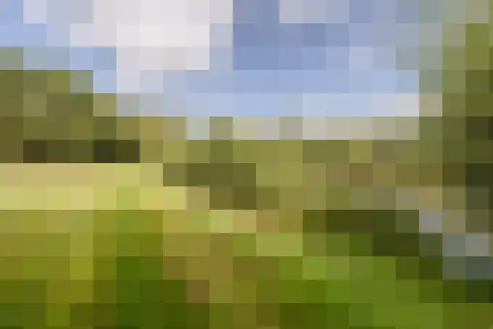 Hoornderweg 2 Wedde thumbnail 29