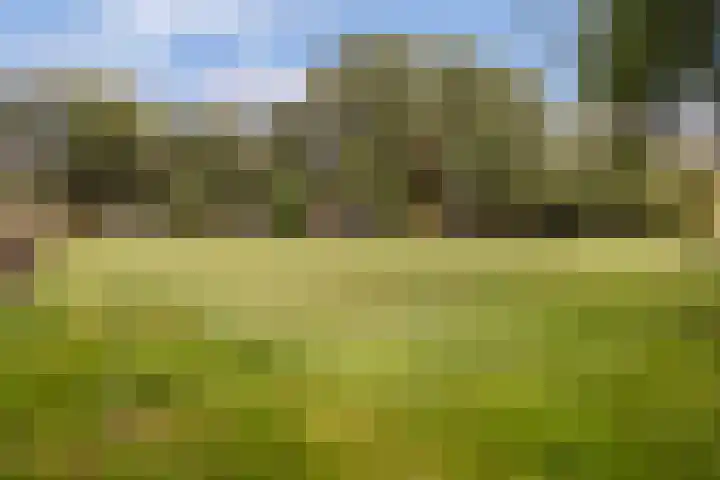 Hoornderweg 2 Wedde thumbnail 30