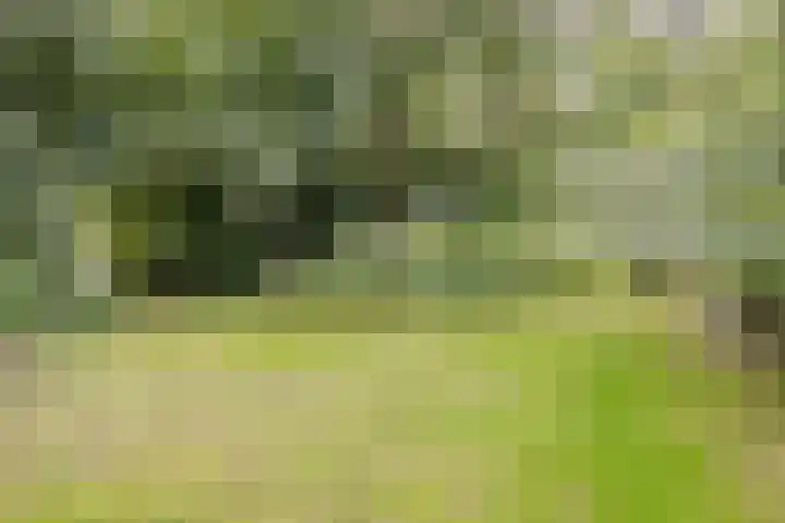 Hoornderweg 2 Wedde thumbnail 31