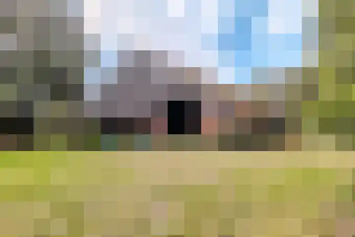 Hoornderweg 2 Wedde thumbnail 32