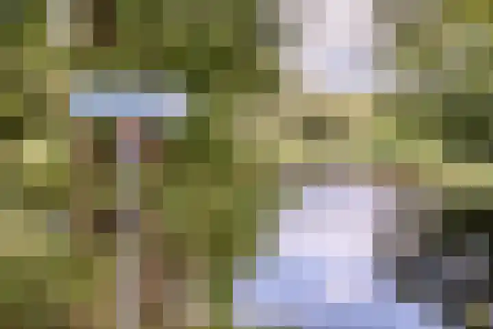 Hoornderweg 2 Wedde thumbnail 33