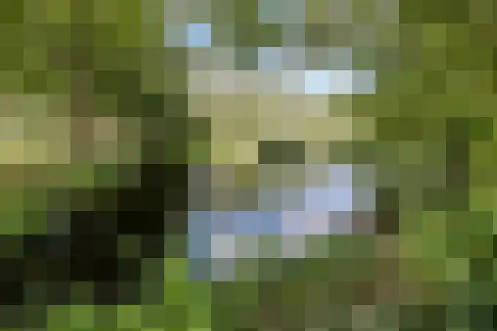 Hoornderweg 2 Wedde thumbnail 34