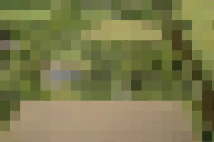 Hoornderweg 2 Wedde thumbnail 35