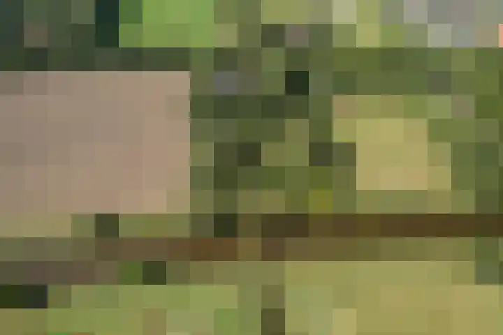 Hoornderweg 2 Wedde thumbnail 36