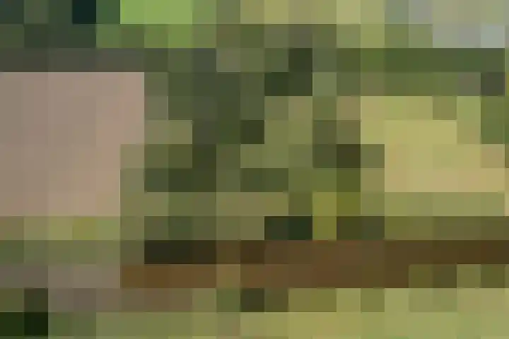 Hoornderweg 2 Wedde thumbnail 37